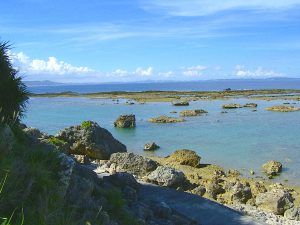 テーダ御河と知名崎 のコピー
