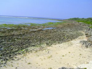 minatogawa のコピー