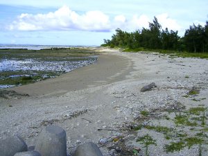 手前は長い防波堤、林の向こうにも堤防